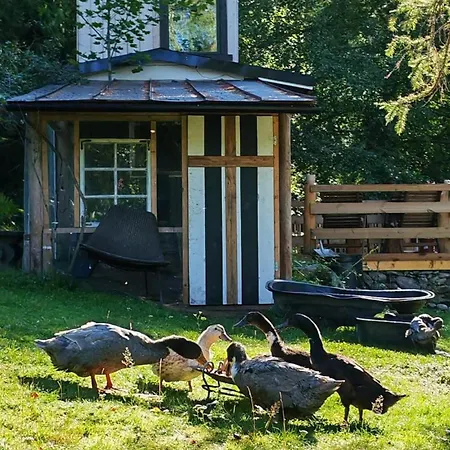 Duckvilla Handcrafted Tiny Home&sauna Glamping
